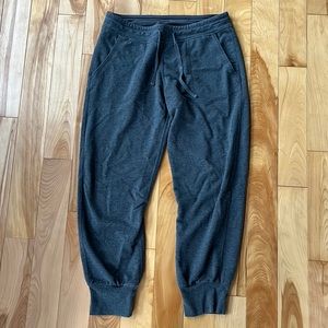 Gray Patagonia Sweatpants Women’s XS